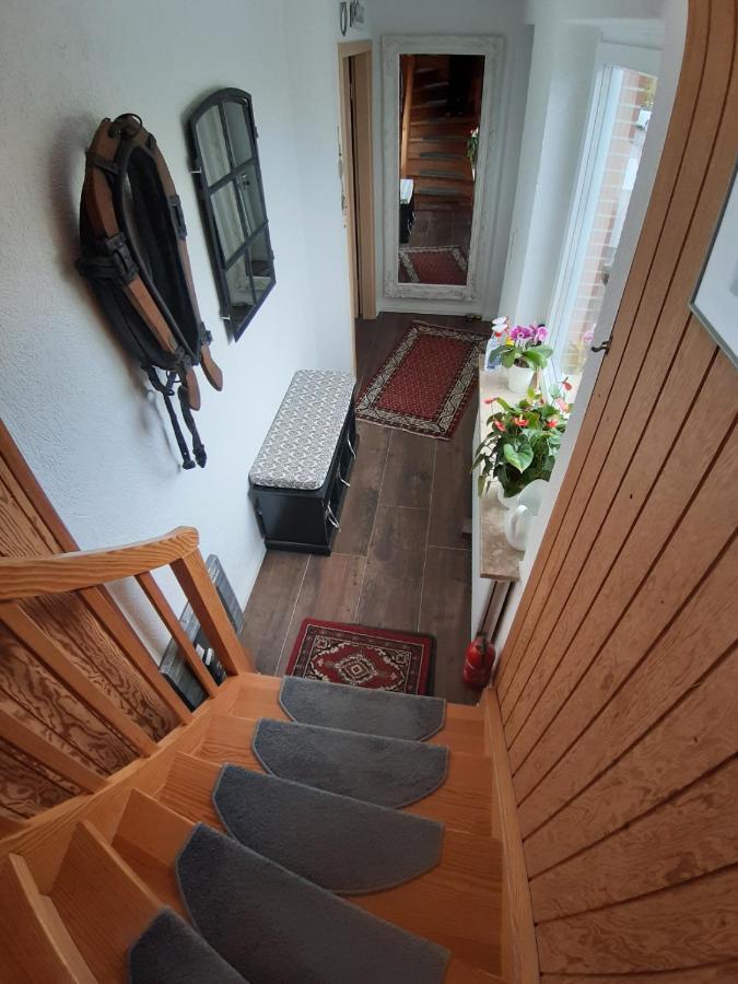 Ferienwohnung Nesthaekchen Hanerau-Hademarschen Eksteriør billede